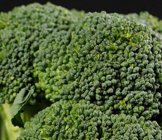 brocoli
