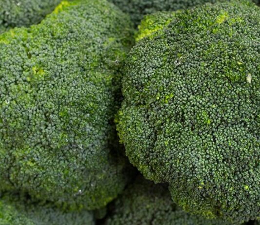 elbrocoli