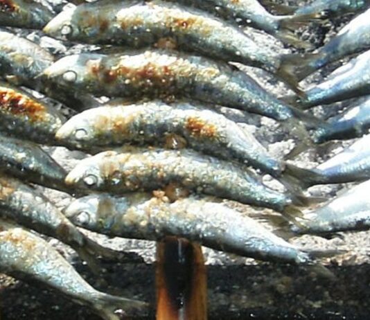sardinas