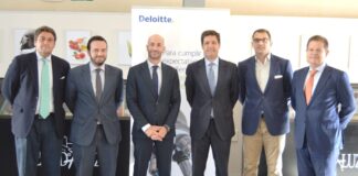 Acuerdo LANDALUZ - Deloitte - Grupo