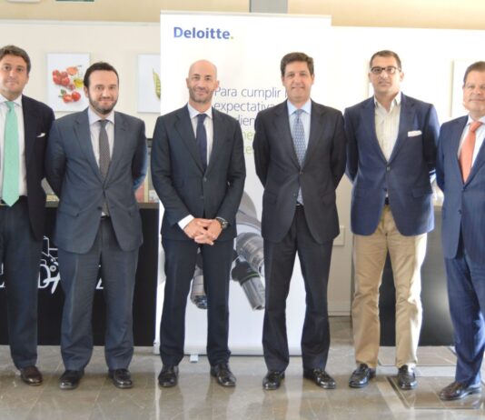 Acuerdo LANDALUZ - Deloitte - Grupo