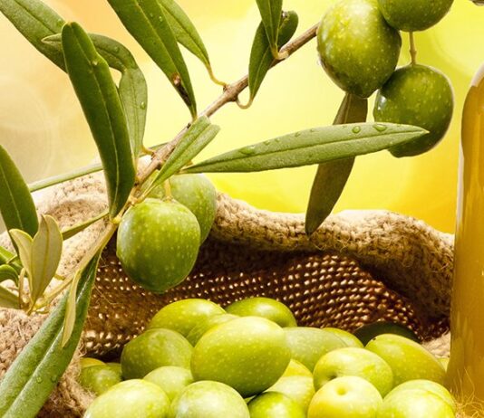 aceitunas