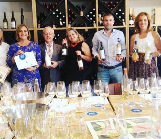 diez vinos
