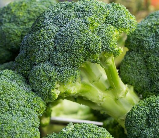 brocoli