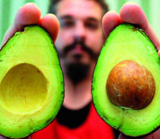 aguacate