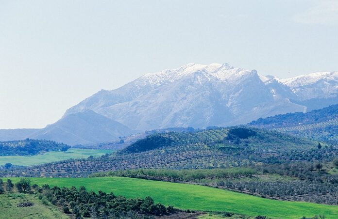Trece municipios se unen en busca de la declaración de la Sierra de las Nieves como Parque Nacional