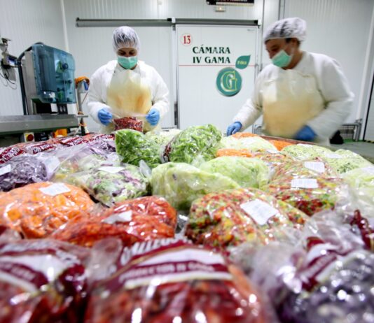 Grupo Gallego incrementa un 10 por ciento sus servicios y productos