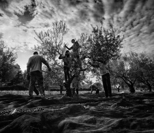 thumbnail_En familia foto ganadora del concurso de Fotografía