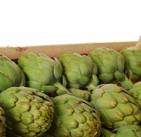 Investigadores potencian el valor nutricional de las alcachofas poco procesadas