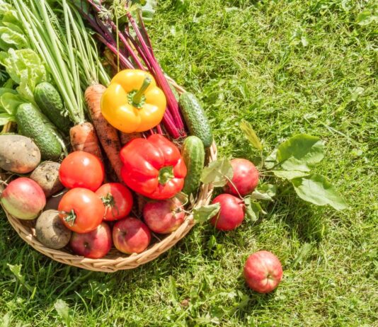 agricultura