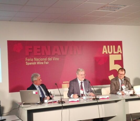 La IX edición de la Feria Nacional del Vino bate récords
