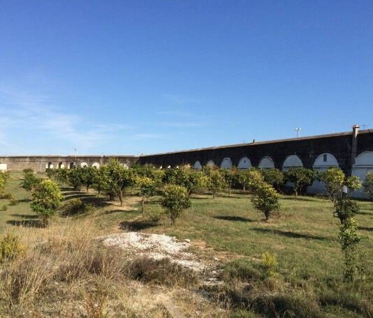 La Junta declarará BIC, el Acueducto de la Fuente del Rey