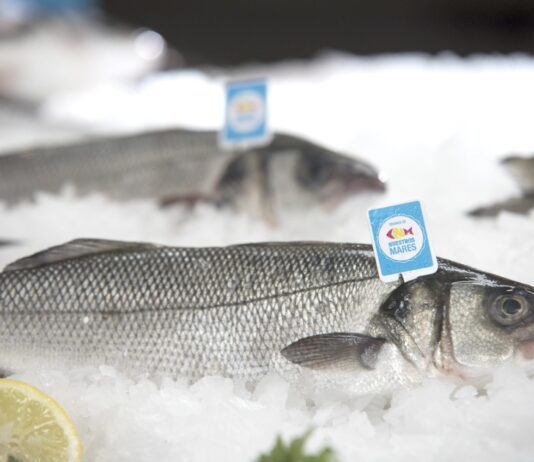 Pescadodecrianzaespanollallavedelfuturo