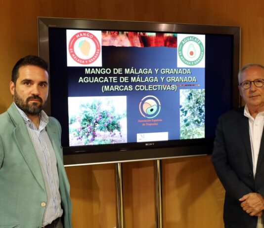 presentacion-marca-aguacates-y-mangos-de-malaga-y-granada-(1)_o