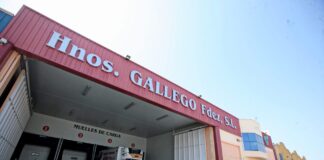 Grupo Gallego proveedor oficial de Starlite Marbella 2017