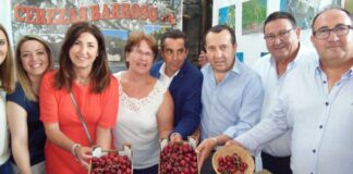 cereza