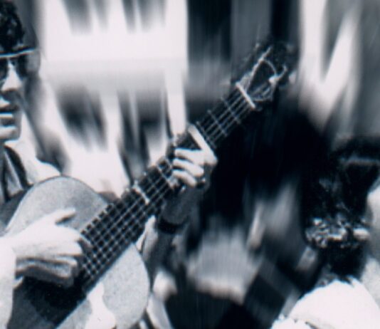 flamenco