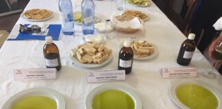 las-almazaras-aceites-finca-la-torre