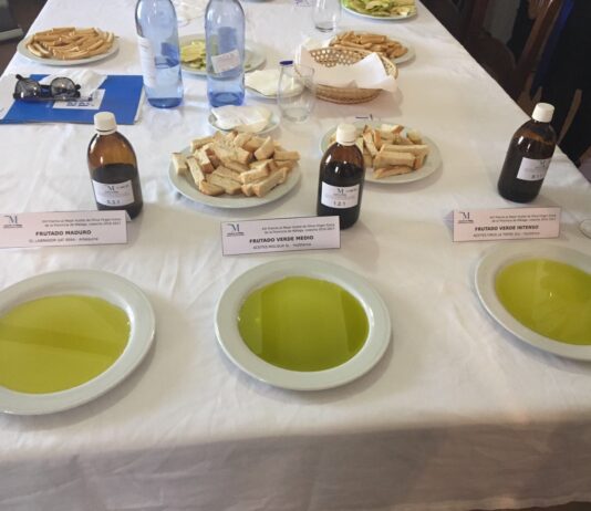 las-almazaras-aceites-finca-la-torre
