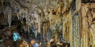 shutterstock_449206018