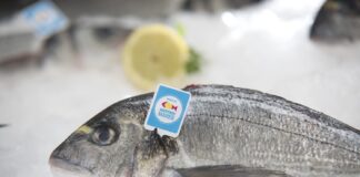 pescado crianza