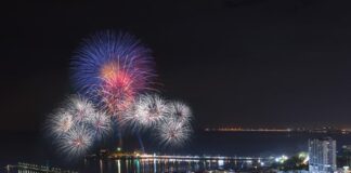 fuegos artificiales