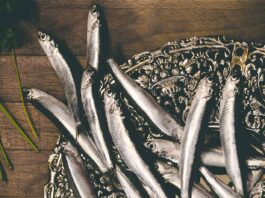 BOQUERONES