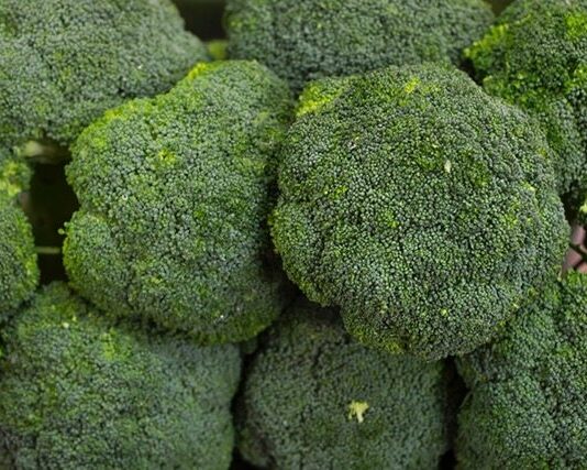 Brócoli