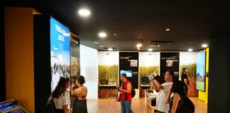 Visitas-Museo-Nerja-Verano