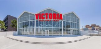 cerveza victoria