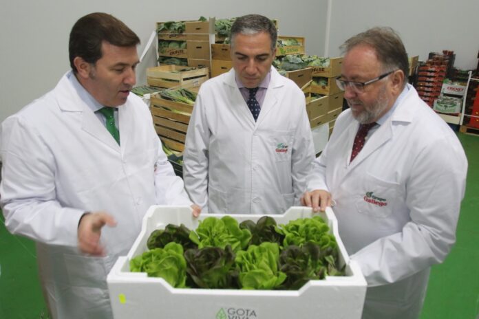 Elías Bendodo destaca el impulso de innovación de las empresas adheridas a ‘Sabor a Málaga’