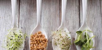 germinado
