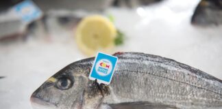 pescado