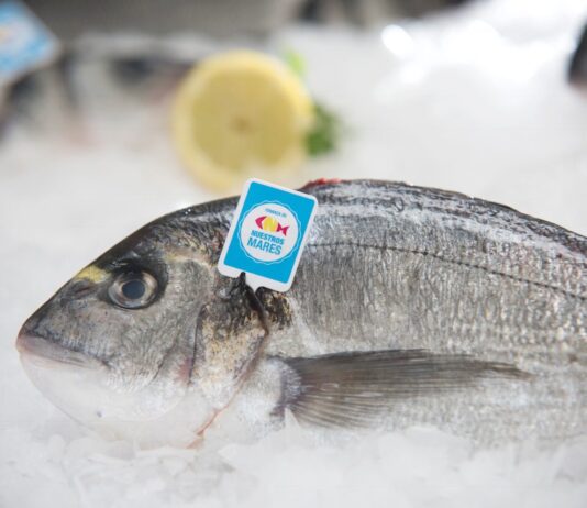 pescado