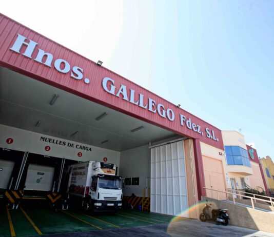Grupo Gallego