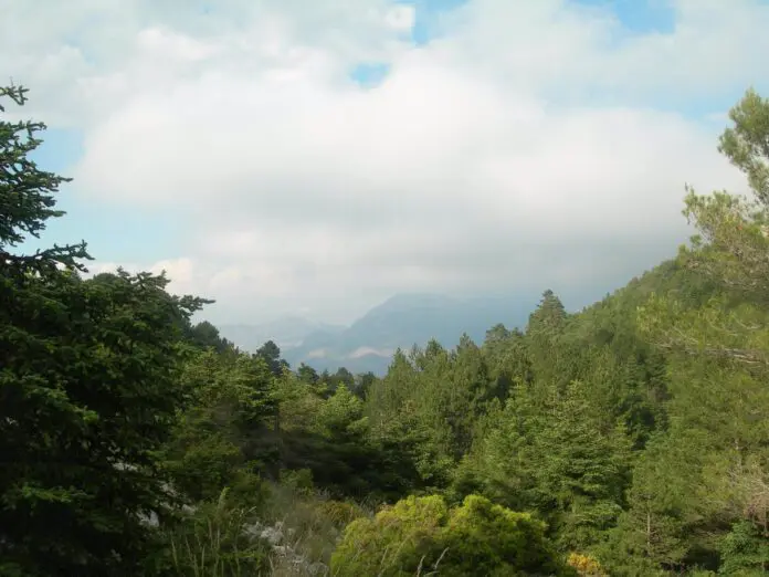 El Consejo de la Red de Parques Nacionales da luz verde para la declaración del Parque Nacional Sierra de las Nieves