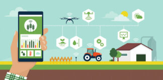 Aplicaciones para el apoyo a la toma de decisiones en agricultura: Mapsens® Agro