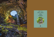 El atlas de los vinos insólitos