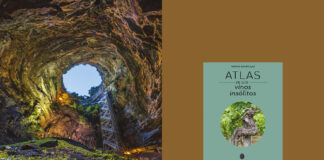 El atlas de los vinos insólitos