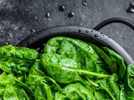 Espinacas: la hoja verde que conquistó el mundo