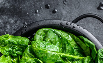 Espinacas: la hoja verde que conquistó el mundo