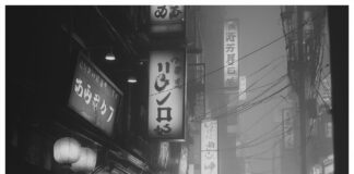 Japón: un viaje por sus ciudades