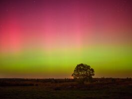 Viajes que nacen en la tierra: la nueva forma de descubrir el mundo rural