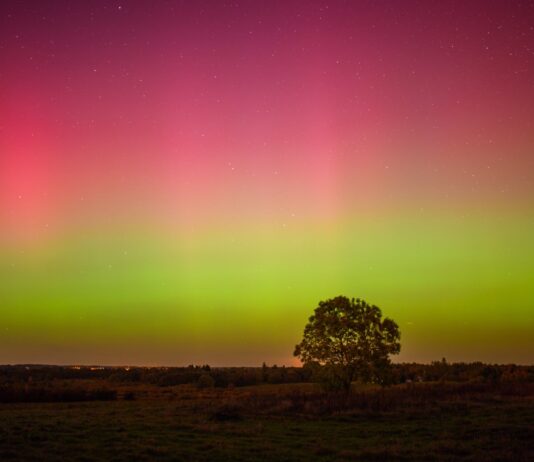 Viajes que nacen en la tierra: la nueva forma de descubrir el mundo rural