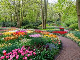Jardines que enamoran: un viaje por los paraísos verdes más bellos de Europa