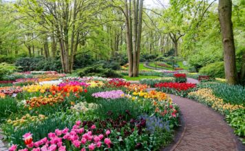 Jardines que enamoran: un viaje por los paraísos verdes más bellos de Europa