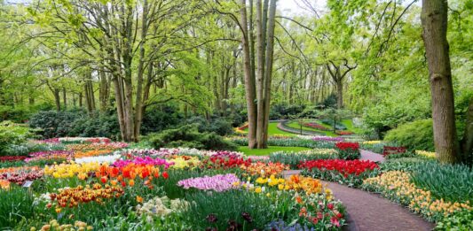 Jardines que enamoran: un viaje por los paraísos verdes más bellos de Europa