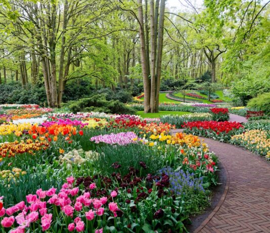 Jardines que enamoran: un viaje por los paraísos verdes más bellos de Europa