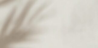 Canapés navideños que sorprenden: sencillos y deliciosos