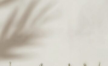 Canapés navideños que sorprenden: sencillos y deliciosos